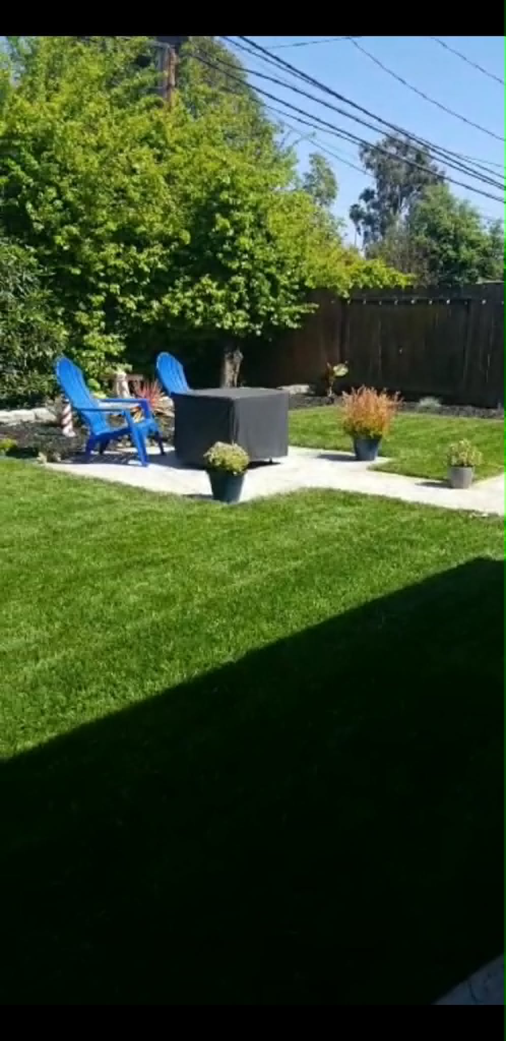 Backyard lawn and patio area
